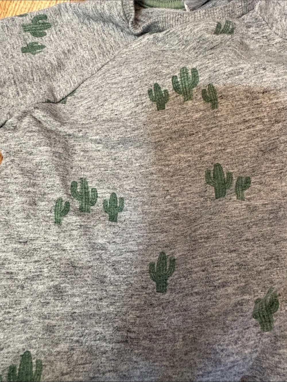 Miles the label set  12m Gray Cactus Sweatshirt & Jogger